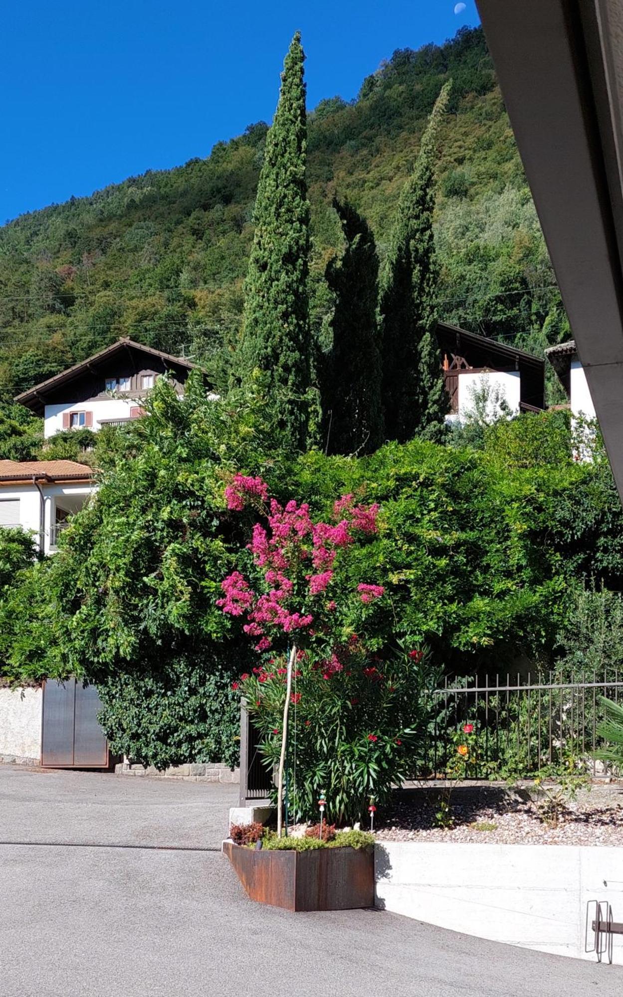 Marlingsuites - Vinea - Wieser Josef - Marling 外观 照片