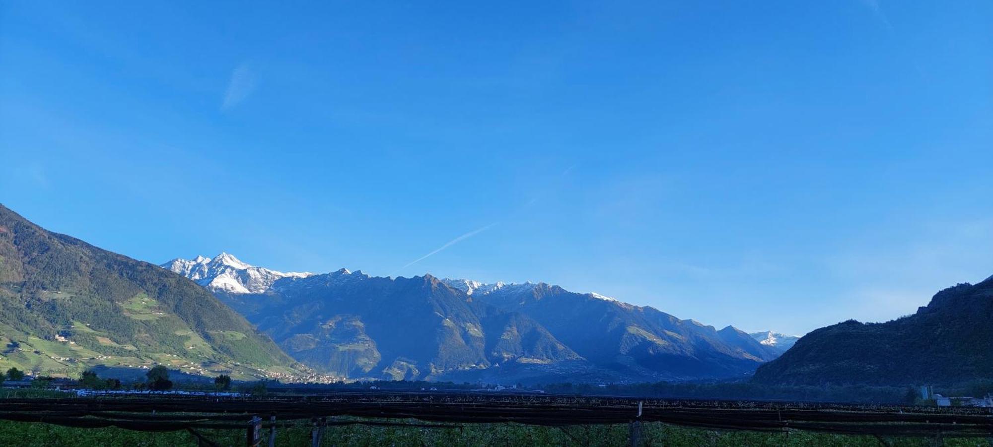 Marlingsuites - Vinea - Wieser Josef - Marling 外观 照片