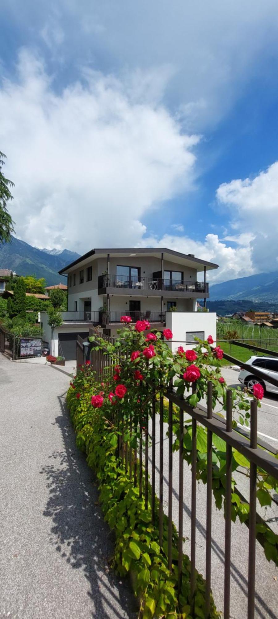 Marlingsuites - Vinea - Wieser Josef - Marling 外观 照片