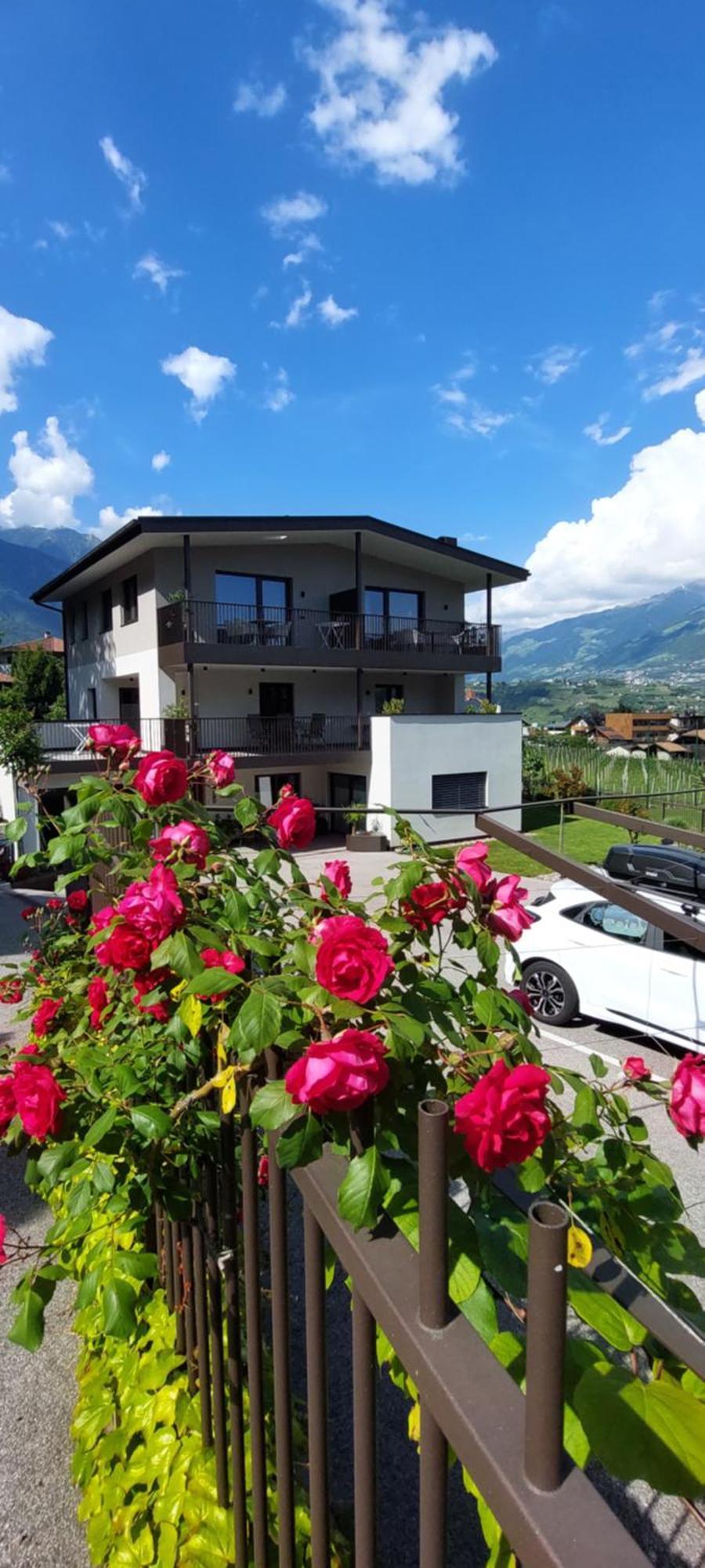 Marlingsuites - Vinea - Wieser Josef - Marling 外观 照片