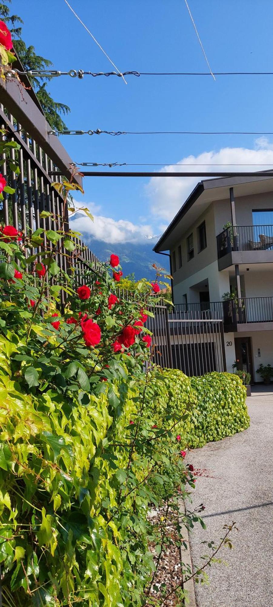 Marlingsuites - Vinea - Wieser Josef - Marling 外观 照片